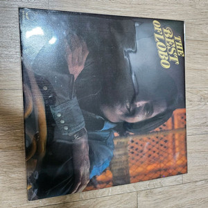 로보 베스트 LP판 - how can I tell he