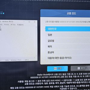 승리의 여신 니케 홍련 코드