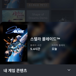니케 스텔라블레이드DLC 홍련 코드팝니다.