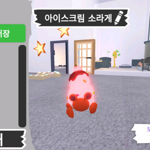 입양하세요 펫 메가네온 아이스크림 소라게 판매합니다