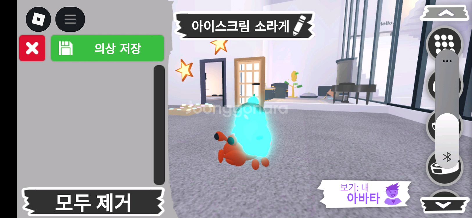 입양하세요 펫 메가네온 아이스크림 소라게 판매합니다--2