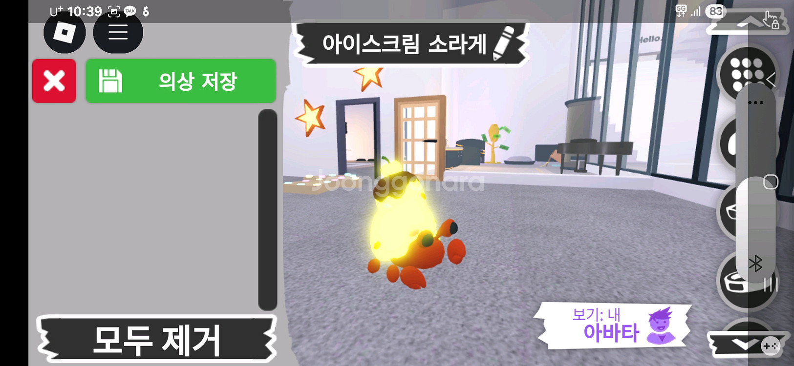 입양하세요 펫 메가네온 아이스크림 소라게 판매합니다--1