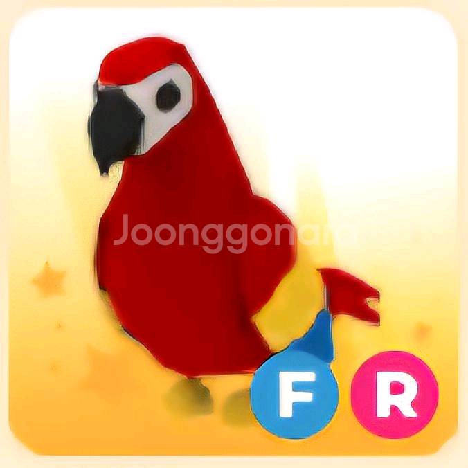 입양하세요 FR 앵무 (앵무새)--0