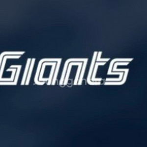 롯데/롯데자이언츠 vs 한화 6.17~6.19 티켓양도