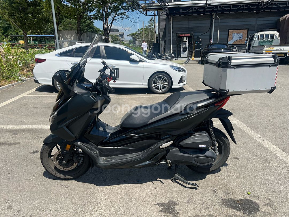 24년식 포르자350 무사고,적은키로수 팝니다--1