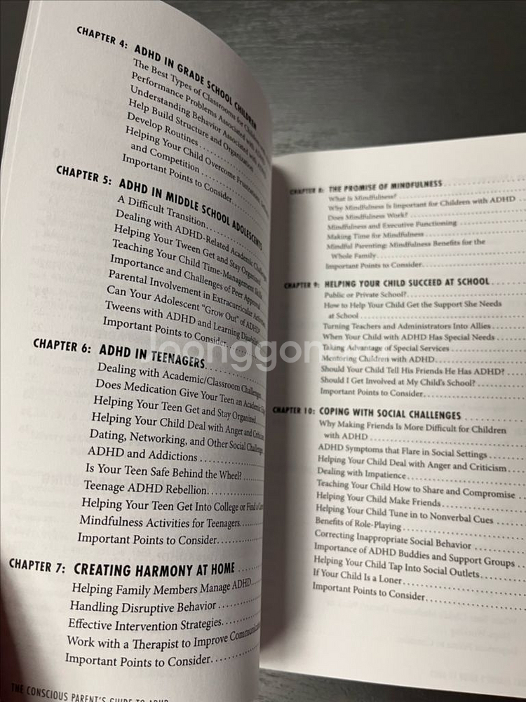 ADHD 가이드북 영어원서 English Book--3