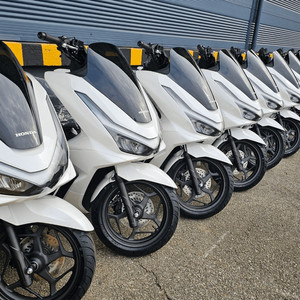 PCX 신차 저신용 무료탁송 유지보수 인수형