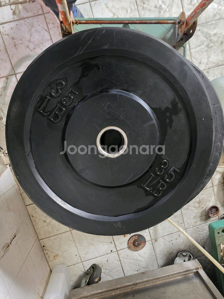 25LB 원판 팝니다--1