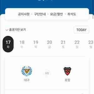 대구FC Vs 포항스틸러스 원정석 4장