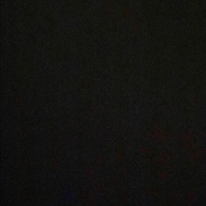 뉴ㅡ베가스 피ㅡ ㅣ망