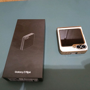Z플립 6 512GB (실버쉐도우)