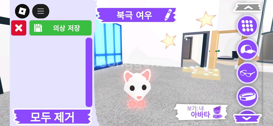 입양하세요 펫 메가네온 북극 여우 판매합니다.--0