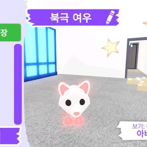 입양하세요 펫 메가네온 북극 여우 판매합니다.