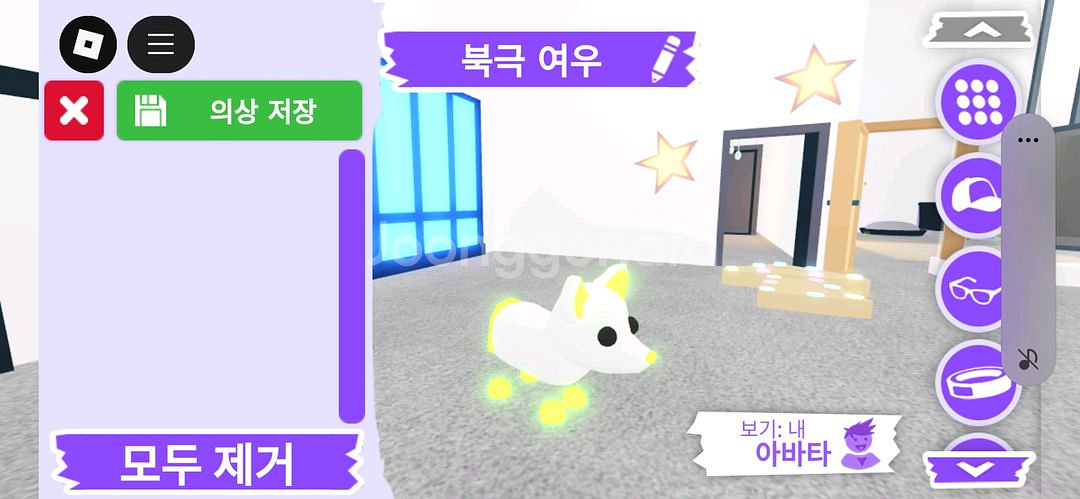입양하세요 펫 메가네온 북극 여우 판매합니다.--1