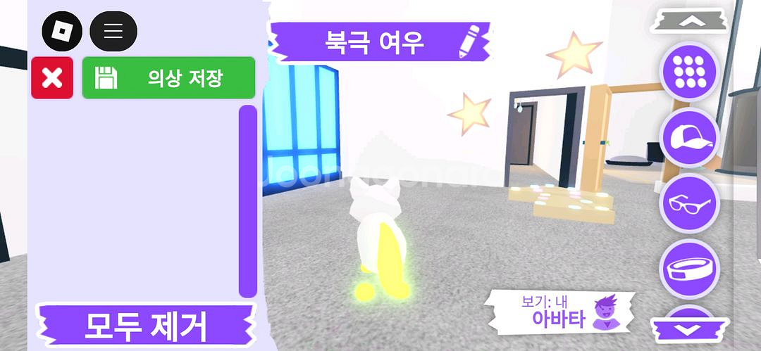 입양하세요 펫 메가네온 북극 여우 판매합니다.--4