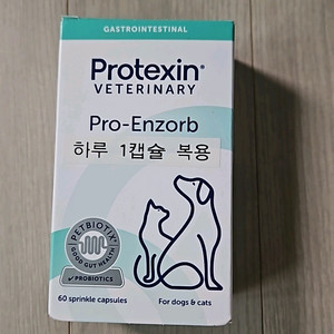 프로엔조브 강아지 고양이 췌장 위장 건강 영양제
