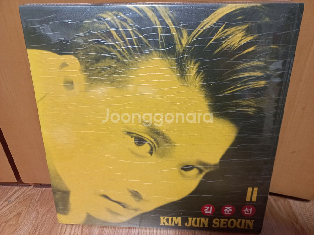 김완선김준선김정호신효범김영동검은나비봄여름박경애박상규lp--1