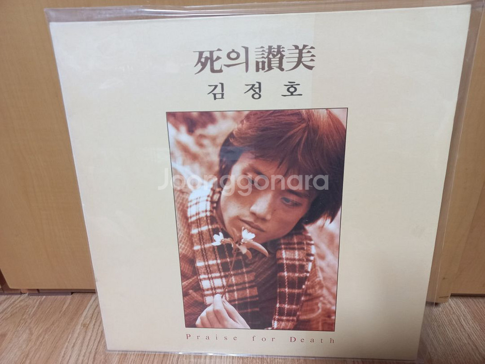 김완선김준선김정호신효범김영동검은나비봄여름박경애박상규lp--6