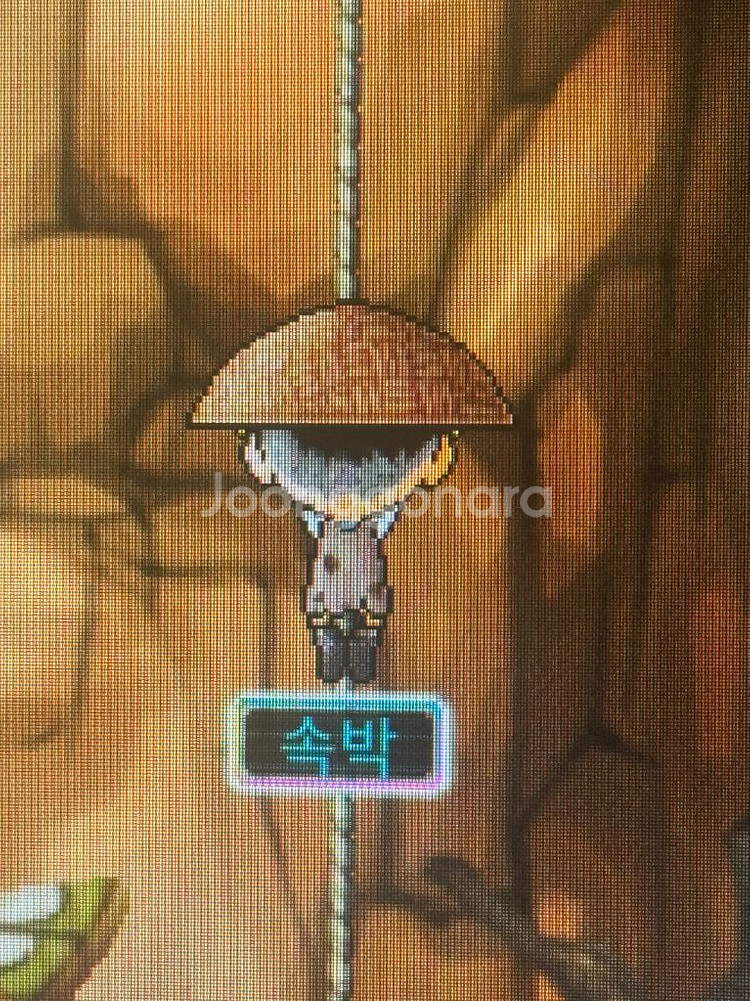 메이플랜드 s급 닉네임--0