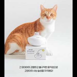고양이 자동장난감 넌내한주먹거리