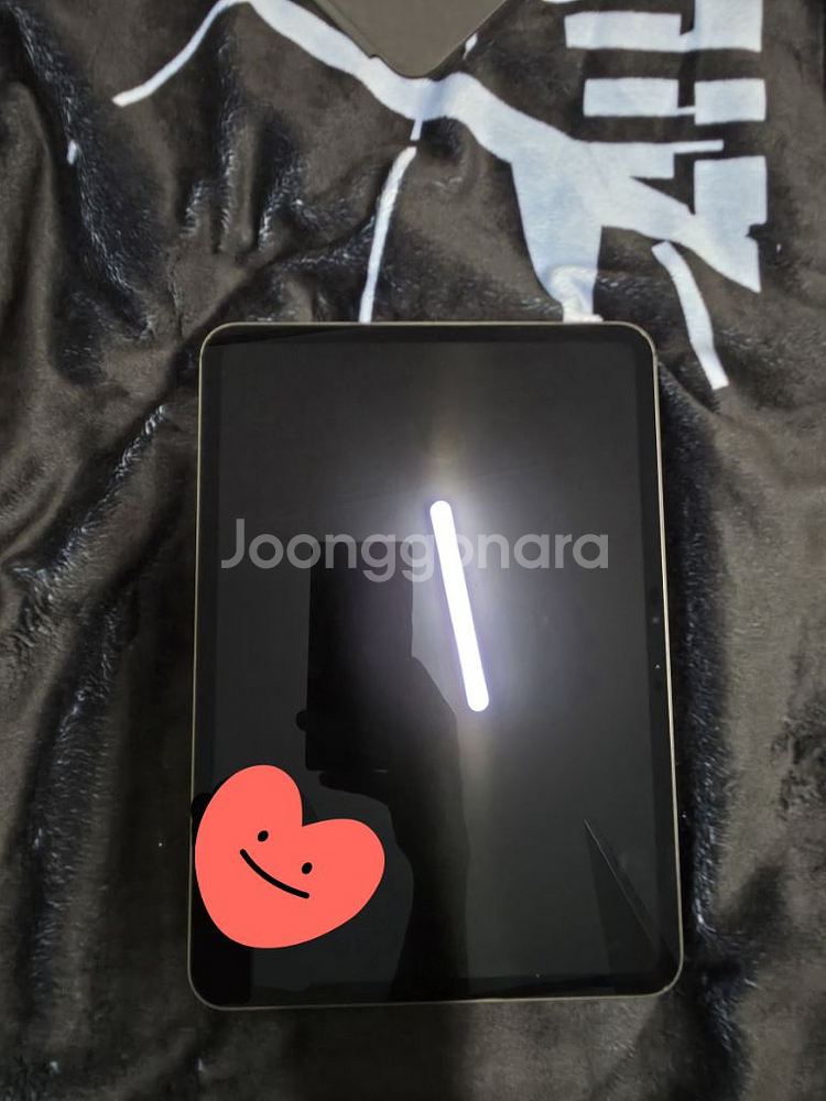 아이패드 프로 11 M4 256GB--0