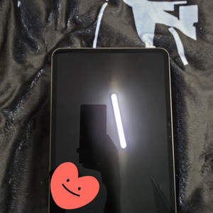 아이패드 프로 11 M4 256GB + 애플펜슬,케이스