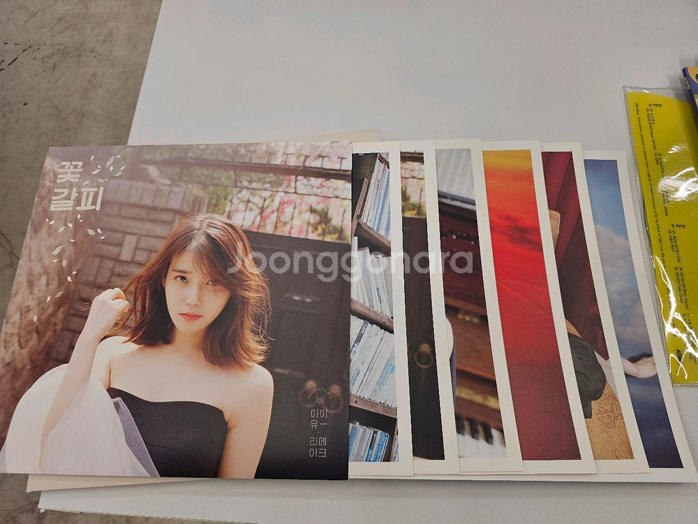 아이유 꽃갈피 LP 이담버전 팝니다.--3