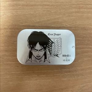 진격의거인 에렌 틴케이스