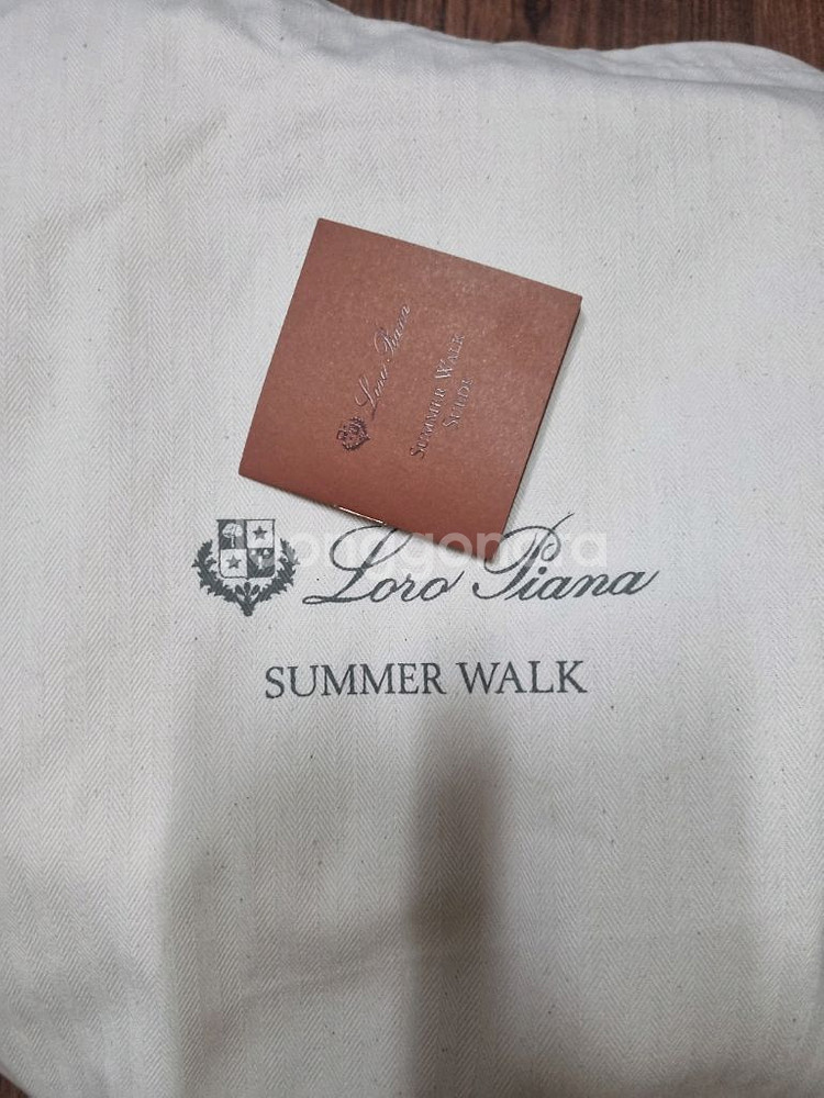 로로피아나 로퍼--1