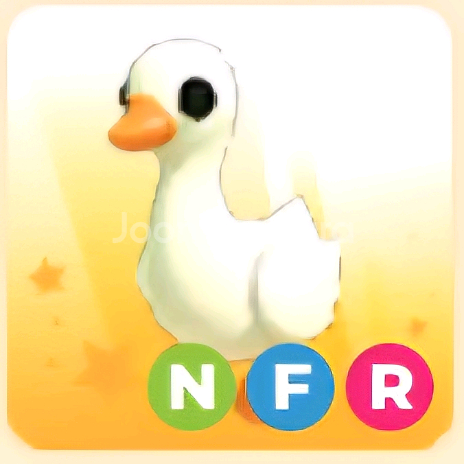 입양하세요 NFR 거위--0