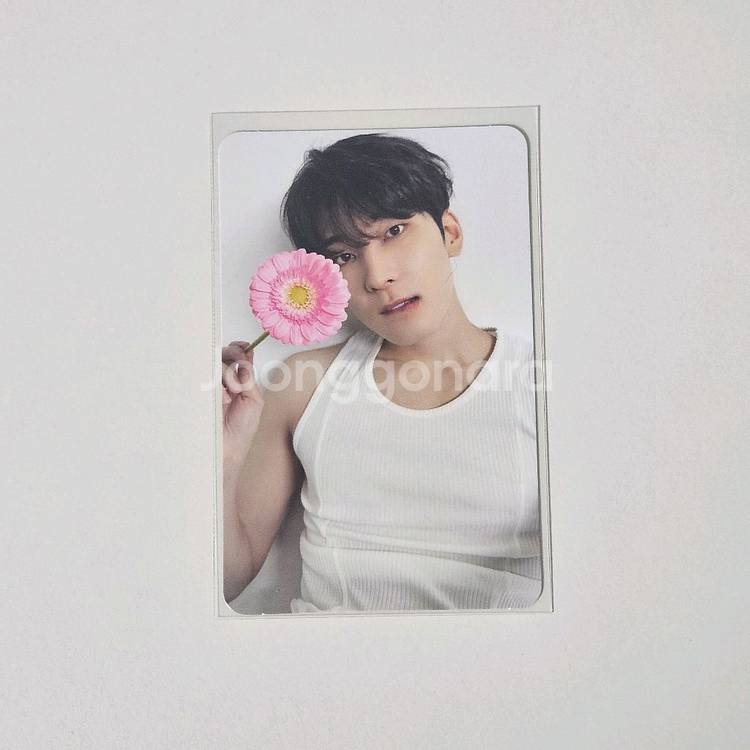 세븐틴 원우 캐럿반 디어 베스트 포카--0