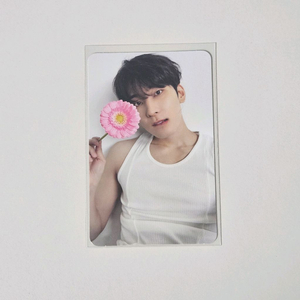 세븐틴 원우 캐럿반 디어 베스트 포카