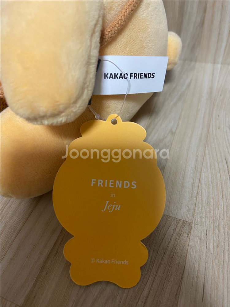 제주 한라봉 라이언 인형(카카오프렌즈)--1