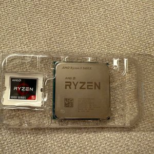 amd 5600X 단품
