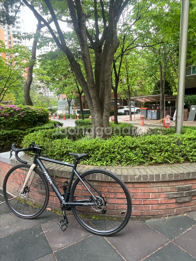 자비로드자전거--0