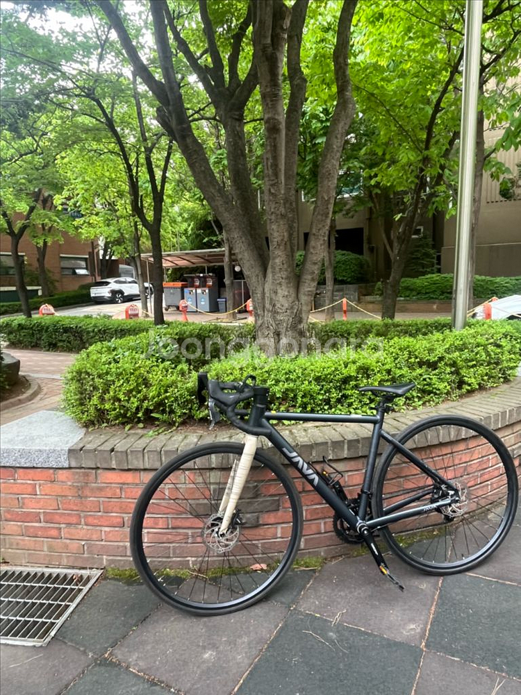 자비로드자전거--1