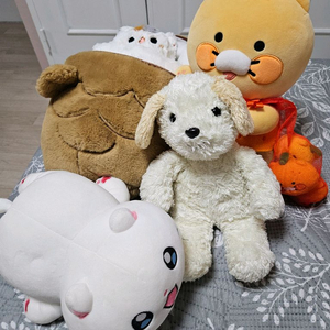 일괄)춘식이 제주 한정 인형, 춘배 붕어빵고양이 인형