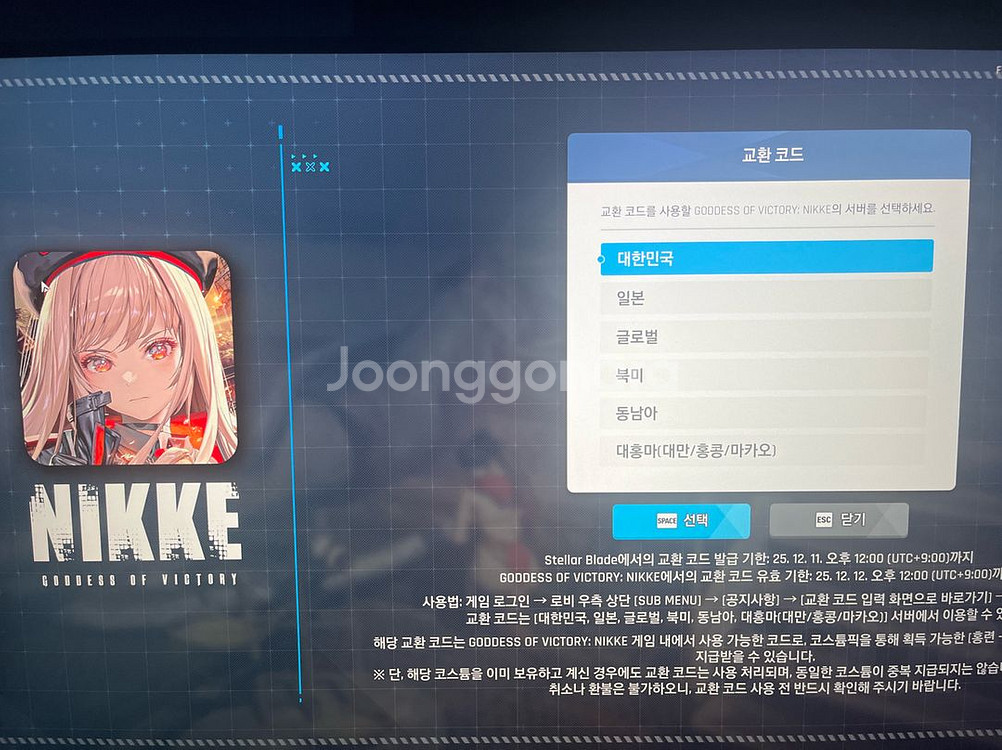 스텔라 블레이드 니케 쿠폰 판매--0