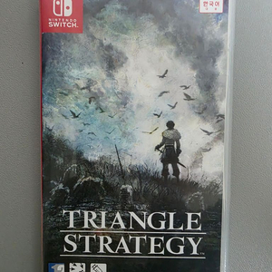 트라이앵글 스트래티지(삼각전략)