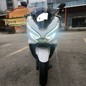 혼다pcx 19년식 63xxx판매(배달셋팅완)