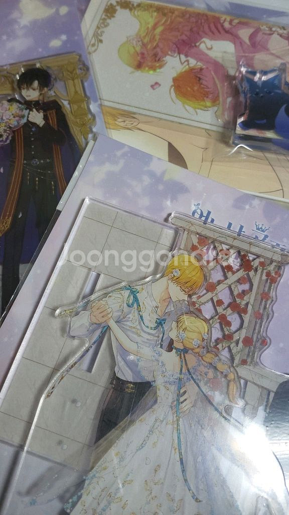 어느날 공주가 되어버렸다 투니크 일괄--0