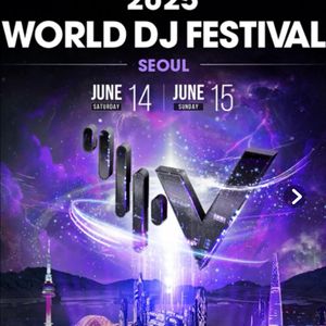 월디페 티켓 6/15 2장 30만원