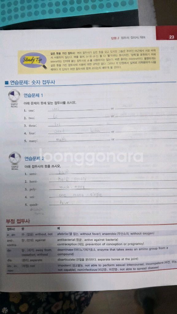 스테드만 의학용어--2