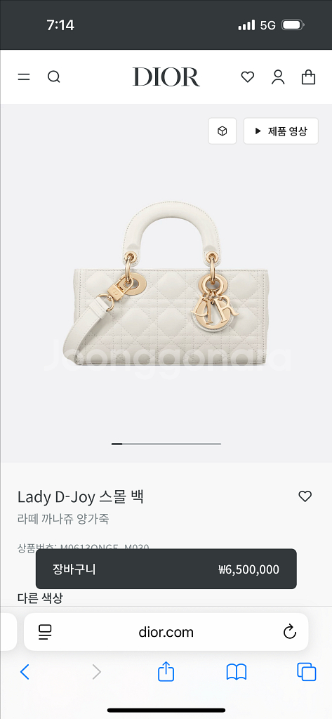 디올 디조이백 스몰--0
