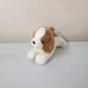 강아지인형 15cm