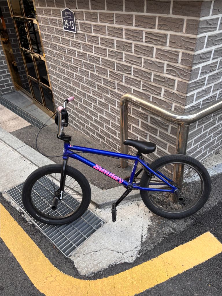 Sunday BMX 판/대--2