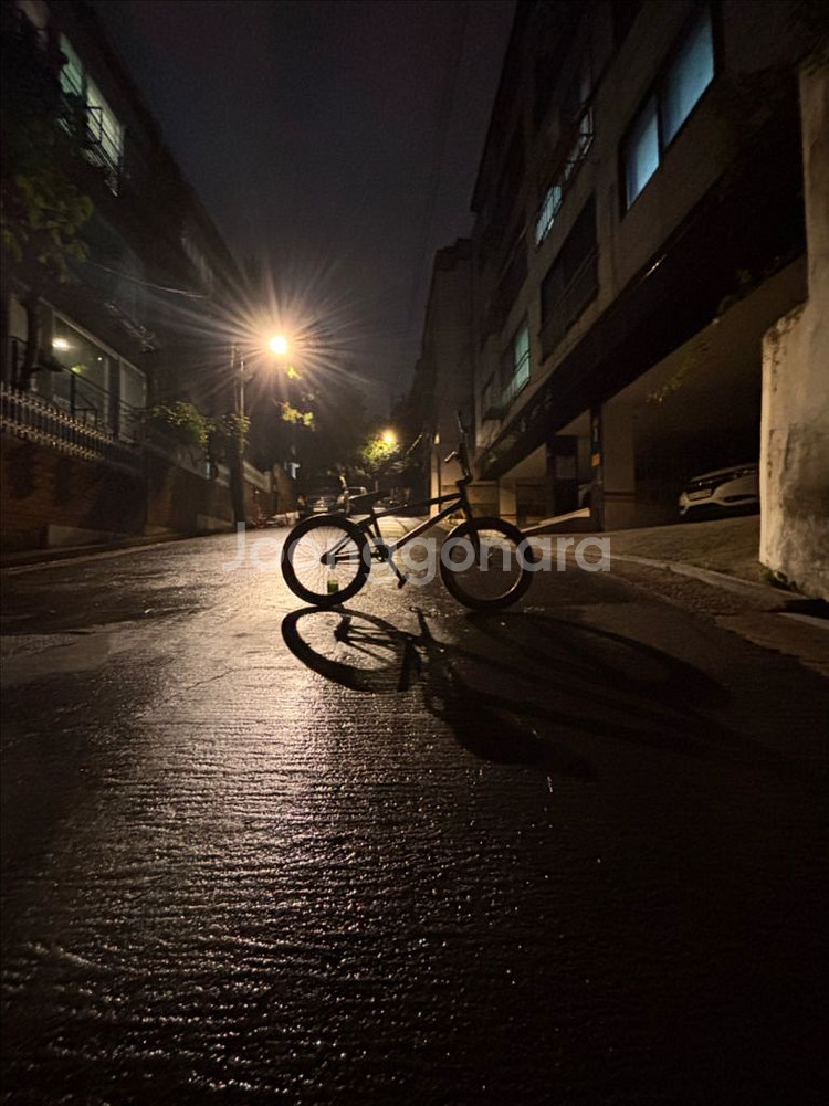 Sunday BMX 판/대--1