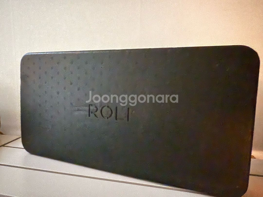 Roli 롤리 seaboard 씨보드 25 건반--1