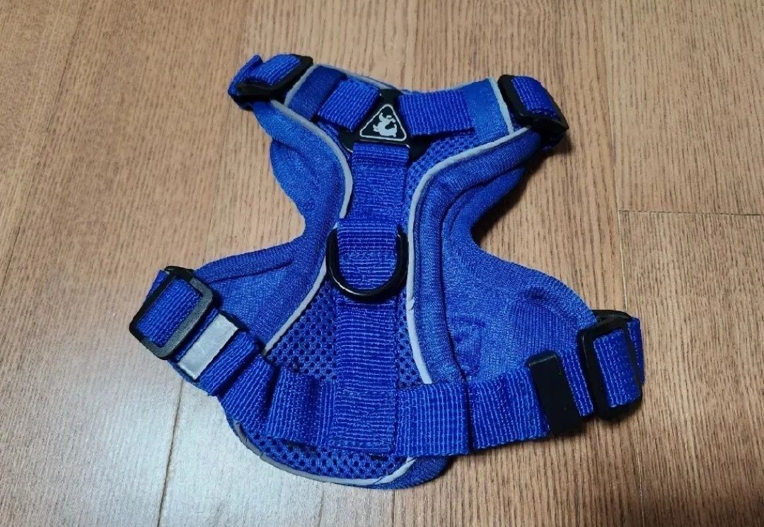 강아지 하네스 리드줄세트 새상품. 소형견 애견 가슴줄--2