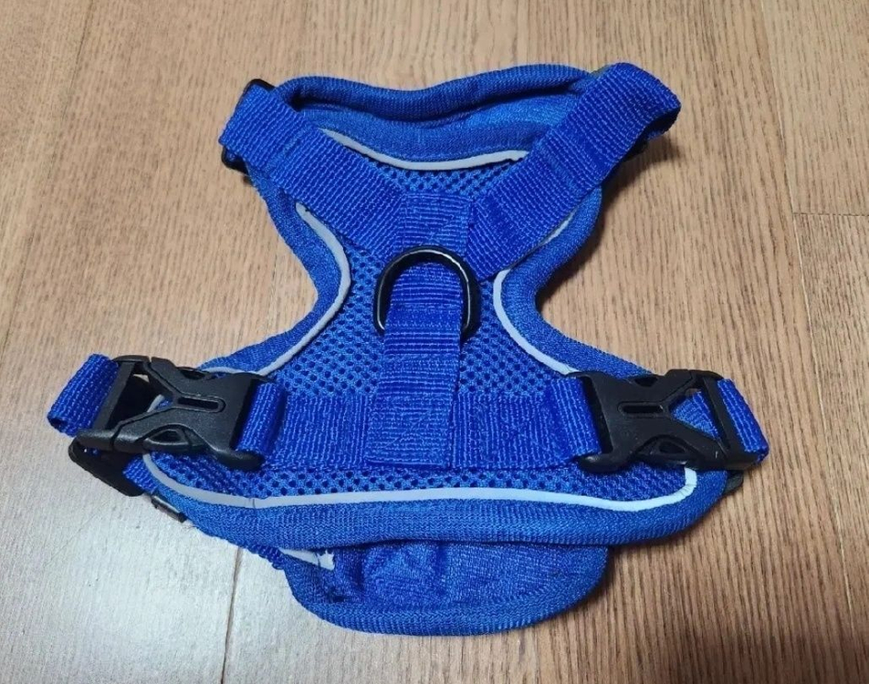 강아지 하네스 리드줄세트 새상품. 소형견 애견 가슴줄--3